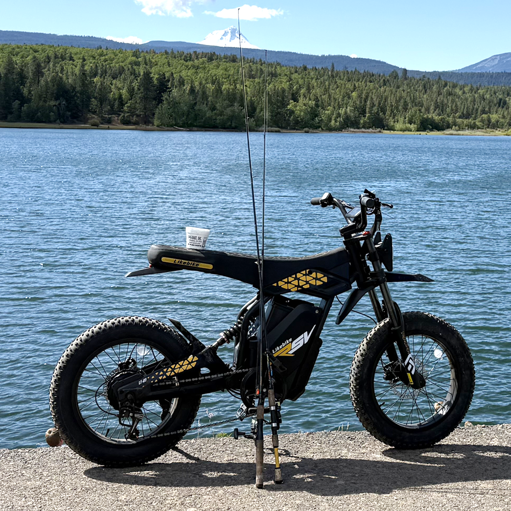 Bicicleta Elétrica LF03-PRO - Fat Tire 20", 60V 1000W 27Ah