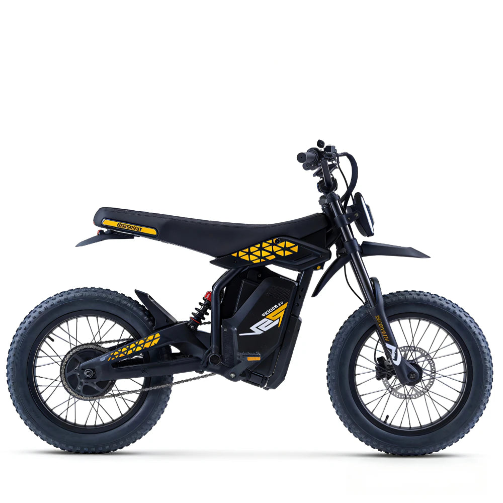Bicicleta Elétrica LF03-PRO - Fat Tire 20", 60V 1000W 27Ah