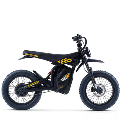 Bicicleta Elétrica LF03-PRO - Fat Tire 20", 60V 1000W 27Ah